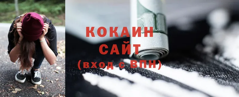 Cocaine Fish Scale  купить   Бабушкин 